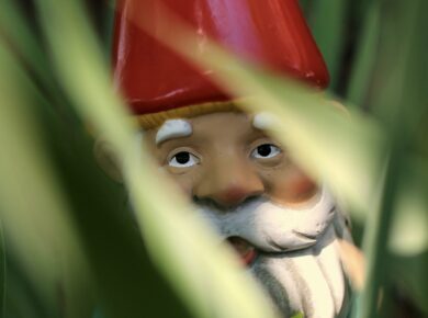 sarah-mae-unsplash 2